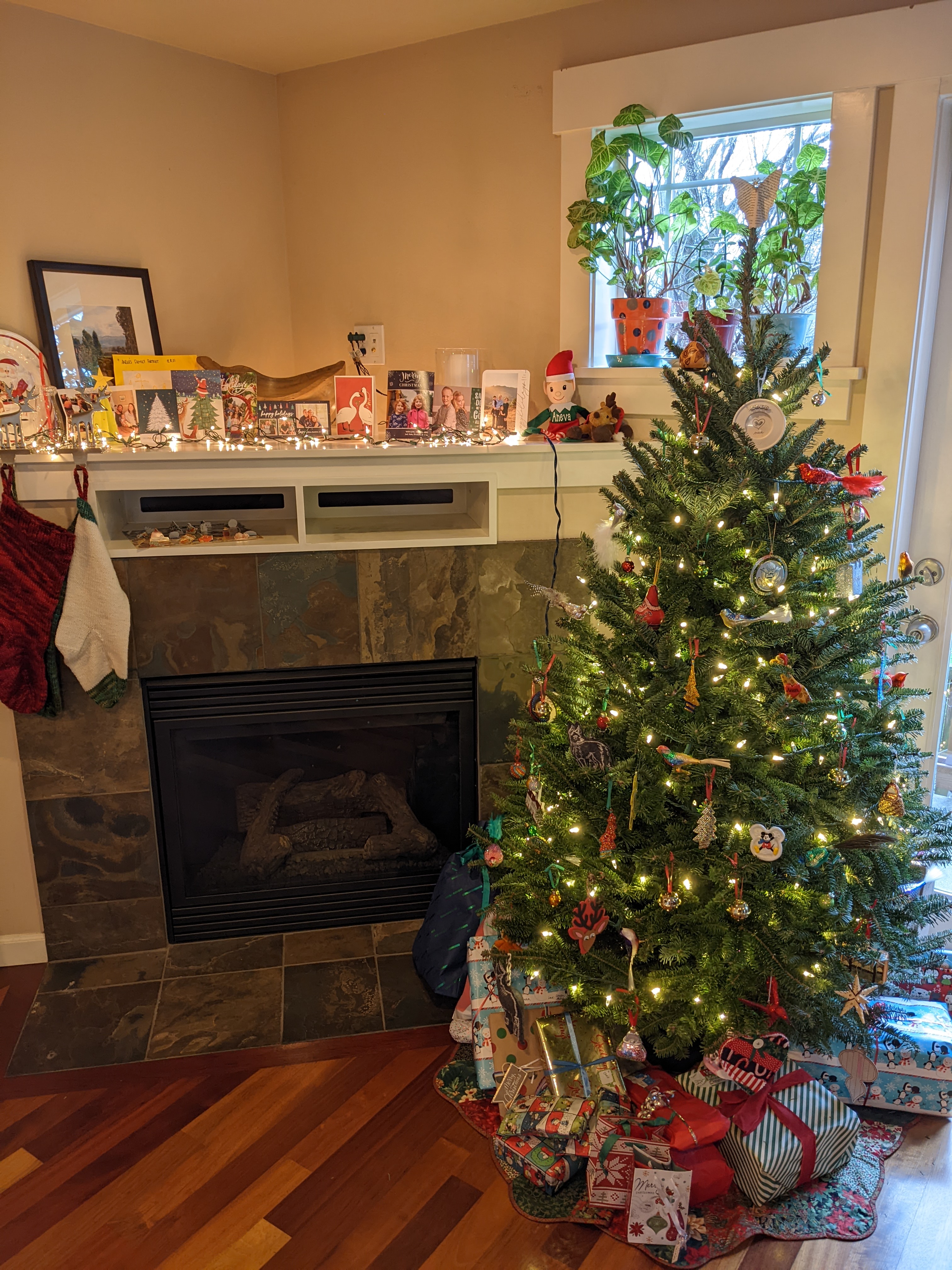 First tree in our new home